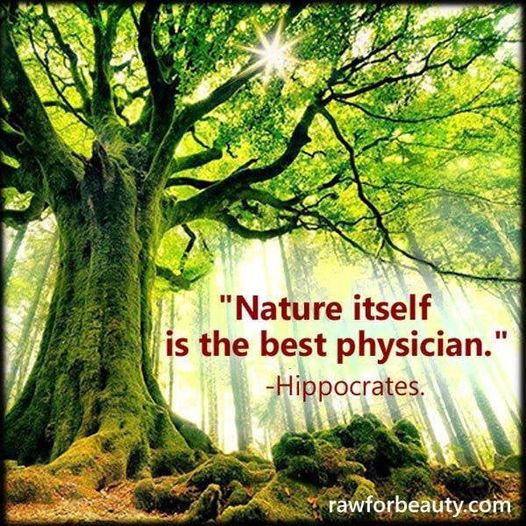 “自然そのものが最高の医師なのだ” — ヒポクラテス